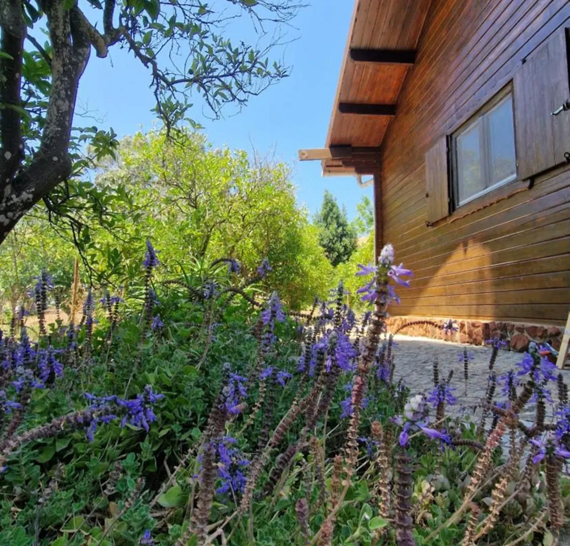 Chalet Villa Mosquito Silves Portugal